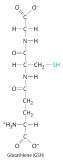 Glutathione (GSH).