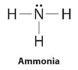 For ammonia, three hydrogens attach to a central nitrogen. The nitrogen also has one lone pair. 