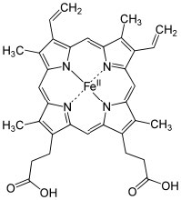 Un complejo hierro-porfirina.