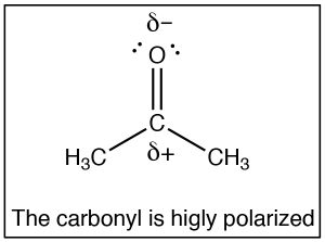 Estructura de Lewis de carbonilo que está altamente polarizada.