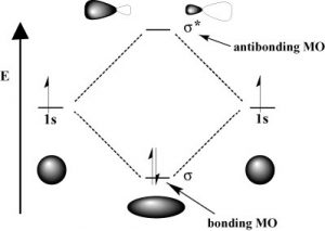 A model of molecular hydrogen bonding.