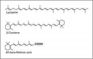 Imágenes de Licopeno, B-Caroteno y Ácido Todo-trans-retinoico.