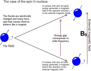 Diagrama del núcleo girando mientras aumenta el campo magnético externo.