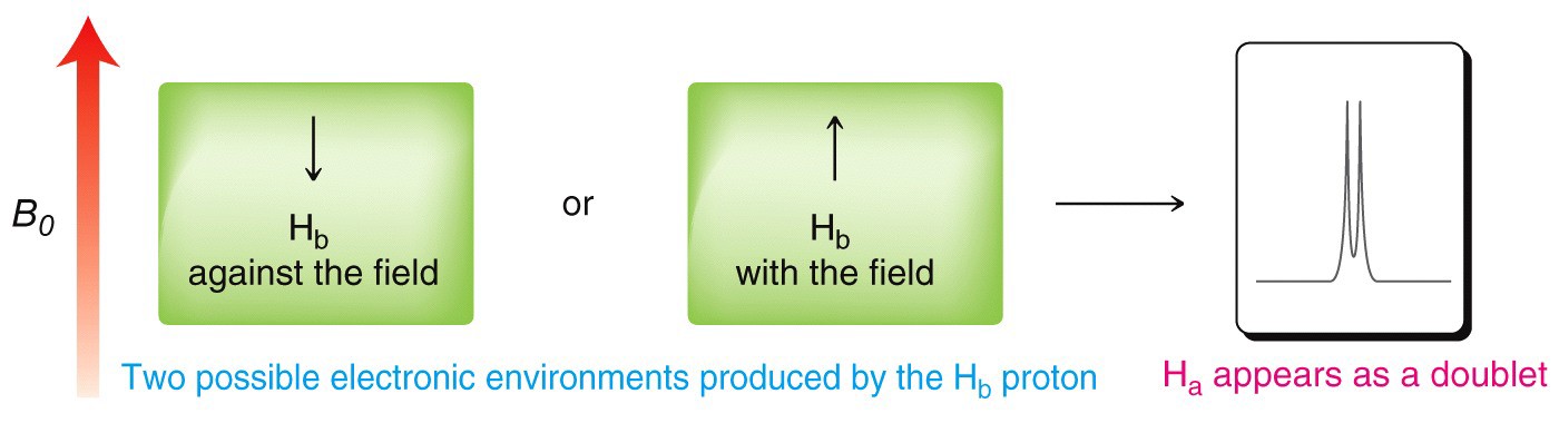 An image of two possible electronic environments produced by Hb proton.