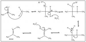 Imagen de reacciones de nucleófilos de oxígeno y nucleófilos de nitrógeno.