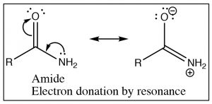 Una imagen de una reacción de donación de electrones amida.