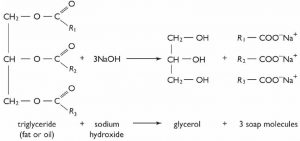 Una imagen de una larga cadena de ésteres de ácidos grasos de glicerol.