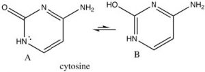Imagen de una reacción de citosina.