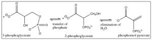 Una imagen de una reacción de transferencia de fosfato.