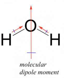 Una imagen de una Estructura Lewis con una letra O conectada a dos letras H's. La línea que conecta las H a la O tiene una flecha roja apuntando hacia O. Y una gran flecha roja apunta hacia arriba en medio de la letra de la O a la etiqueta “momento dipolo molecular” que se encuentra en la parte inferior de la estructura.