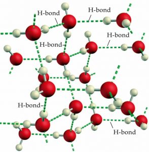 Imagen de 18 esferas rojas conectadas a 32 esferas blancas por una línea discontinua verde. Y las líneas verdes están etiquetadas como “H-bond”.