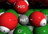 An image of a grey sphere labeled as "Na+" with a red sphere on top labeled as "H20" and a green sphere labeled as "Cl-." And on the left and right side there is a larger red sphere with a "-" and a connecting white sphere labeled with a "+." And in the background there are a lot of green spheres.