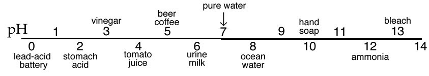 Una imagen de una línea numérica etiquetada como “pH” comenzando con el número 0 y terminando con 14. Comenzando con 0 la etiqueta es “batería de plomo-ácido”. El número dos tiene una etiqueta de “ácido estomacal”. El número 3 está etiquetado como “vinagre”. El número 4 está etiquetado como “jugo de tomate”. El número 5 está etiquetado como “café de cerveza”. El número 6 está etiquetado como “leche en orina”. El número 7 está etiquetado como “agua pura”. El número 8 está etiquetado como “agua del océano”. El número 10 tiene una etiqueta de “jabón de manos”. El número 12 está etiquetado como “amoníaco”. Y por último el número 13 está etiquetado como “lejía”.