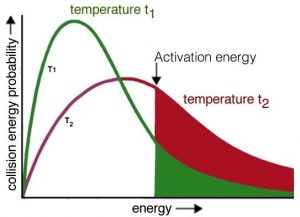 Una imagen de una gráfica con un eje x etiquetado como “energía” y el eje y etiquetado como “probabilidad de energía de colisión”. En la gráfica hay dos líneas una verde y otra roja, ambas son curvas. La curva verde tiene un pico más alto y tiene una etiqueta de “T1" y “temperatura a t1”. La curva roja tiene una etiqueta de “T2" y tiene un pico más bajo. En el centro del eje x una línea corta tanto las gráficas etiquetadas como “Energía de activación” como a la derecha de la línea las líneas curvas se rellenan ambas.