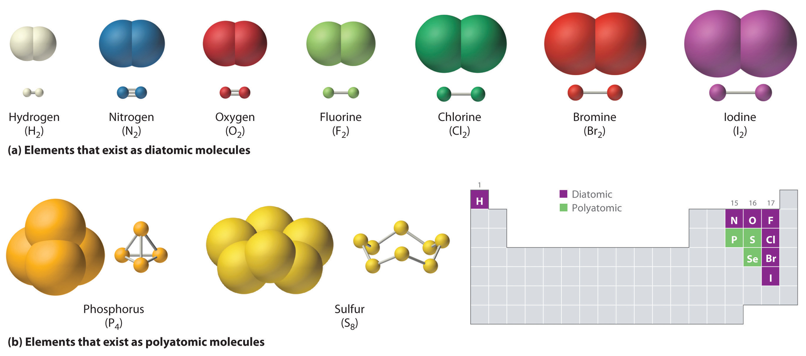 El hidrógeno, el nitrógeno, el oxígeno, el flúor, el cloro, el bromo y el yodo existen como moléculas diatómicas. El fósforo y el azufre existen como moléculas poliatómicas.
