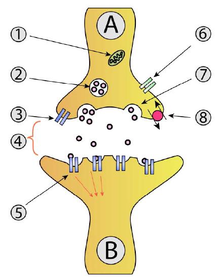 Biochemistry_Page_321_Image_0003.jpg