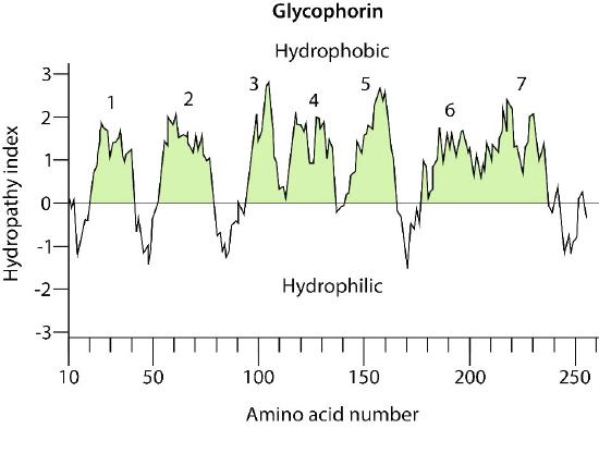 Biochemistry_Page_331_Image_0005.jpg