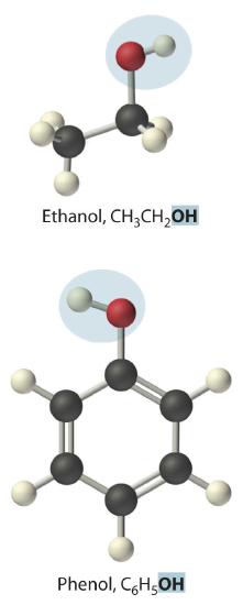 Ethanol, CH3CH2OH and phenol, C6H5OH.
