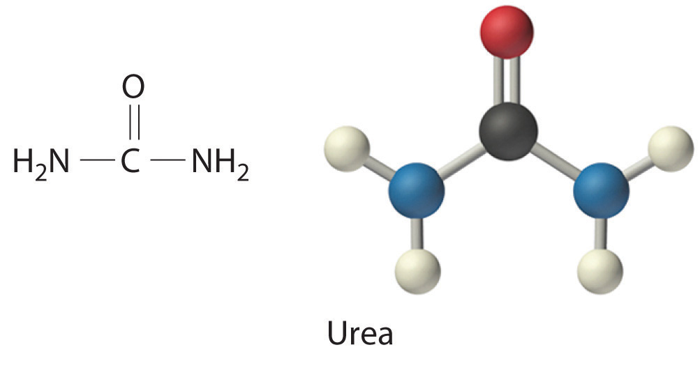 Formula and ball-and-stick model of Urea.