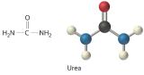 Formula and ball-and-stick model of Urea.