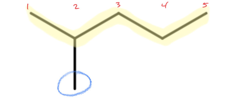 2-methylpentane marked up.png