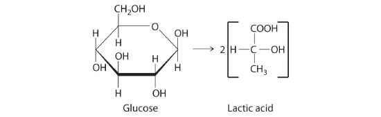 Glucose converting to two lactic acid molecules.