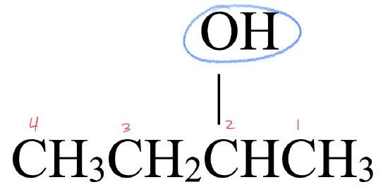 2-butanol with the carbons numbered so that the alcohol carbon is number two. The hydroxyl group is circled. 