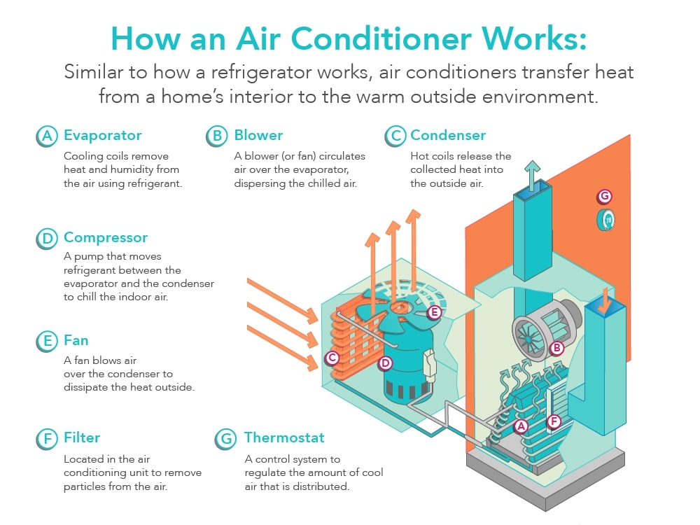 Diagram of how an air conditioner works. The evaportator has cooling coils to remove heat and humidity. A blower circulates air over the evaporator to disperse chilled air. A condenser has hot coils that release collected heat into the air. The compressor has a pump that moves refrigerant between the evaporator and the condenser to chill the indoor air. A fan blows air over the condenser to dissipate heat outside. A filter in the AC unit removes particles from the air. The thermostat is a control system to regulate the amount of cool air distributed.