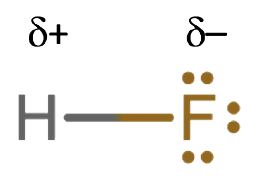 Hydrogen fluoride. The delta positive  is on the hydrogen and the delta negative is on the fluoride.