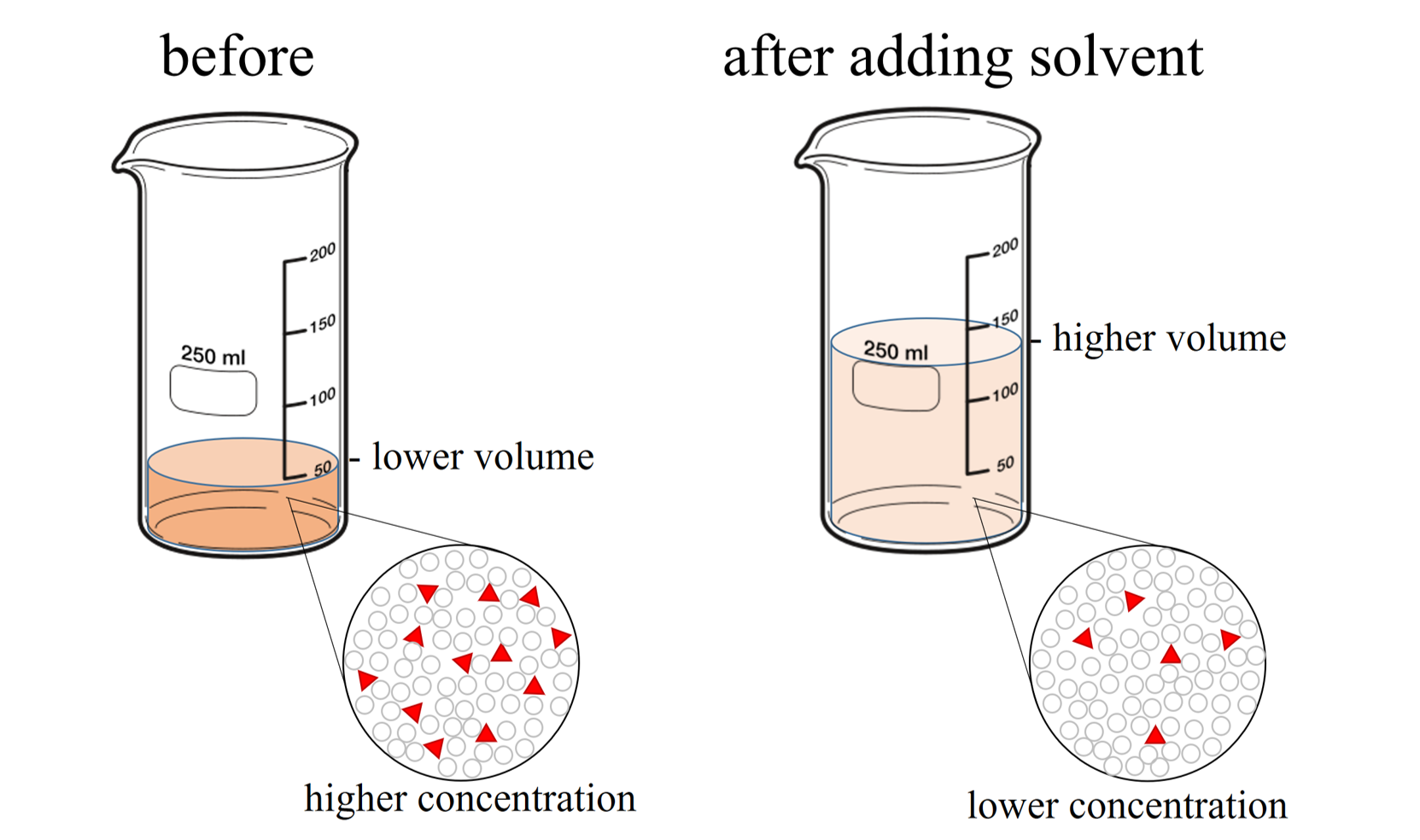 This image shows a solution before and after dilution, i.e. adding solvent. Through the dilution process, the volume increases and the concentrations of the solutes decrease. As a consequence, there is more solution in the beaker after dilution, and the color of the solution becomes fainter. The inset shows that at the particular level (picometer to nanometer scale), there are less solute particles (red triangles) per volume. The content in the central box shows the dilution law, i.e. that the product of concentration and volume stays constant upon dilution. The picture of the beakers are from https://www.1001freedownloads.com/free-clipart/beakers with a CC0 1.0 Universal (CC0 1.0) license.