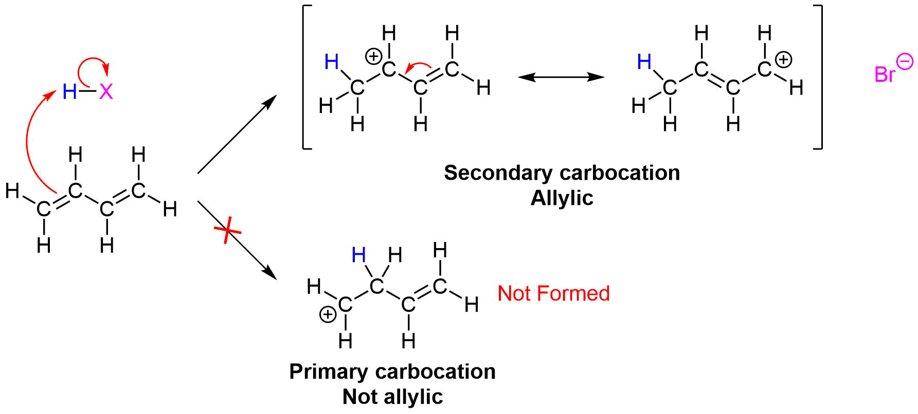 Mechansim Step 1.png