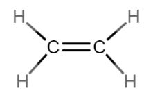 Chemical structure of ethylene showing two covalent bonds connecting the central carbons. Two separate covalent bonds connect two hydrogens to each carbon. There are no lone pair electron groups.