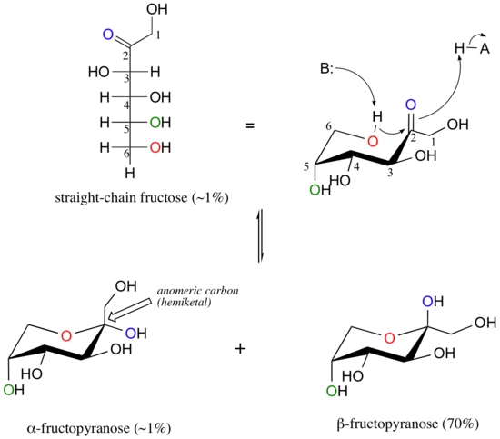 25.5: Cyclic Structures Of Monosaccharides - Anomers - Chemistry LibreTexts