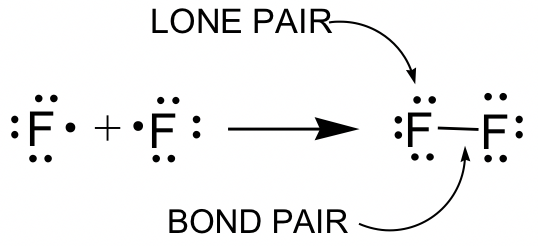 The bond pair is represented by a horizontal line and the lone pairs are represented by dots around the “F” symbols.
