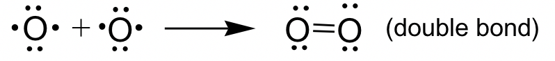 The double bond present in an oxygen molecule is represent by two horizontal lines.
