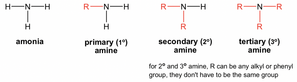 Primary amine has an one R that replaces an H, secondary amine has two, and so on