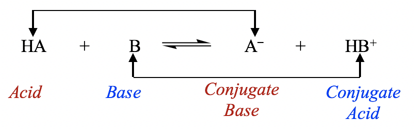 HA (ácido) + B (base) = A- (base conjugada) + HB+ (ácido conjugado)
