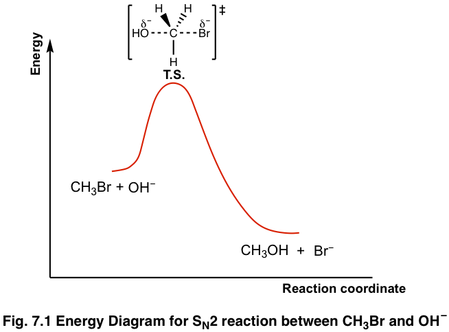 SN2-energy-diagram.png