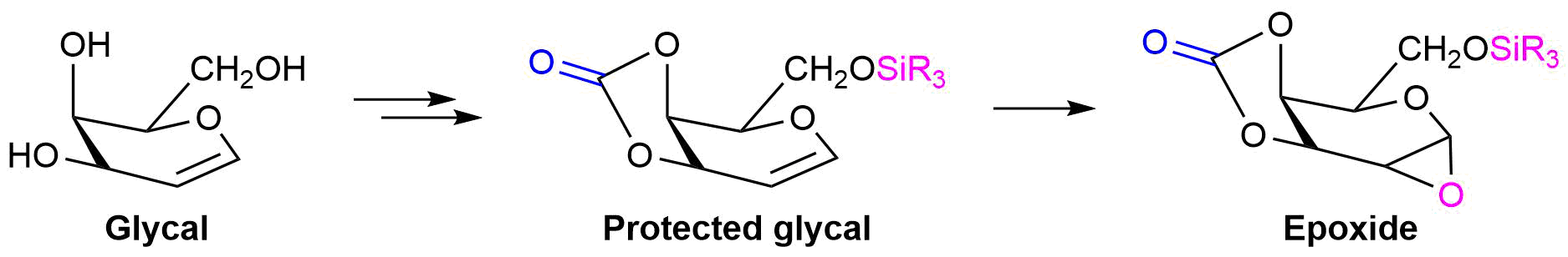 Glycan.png