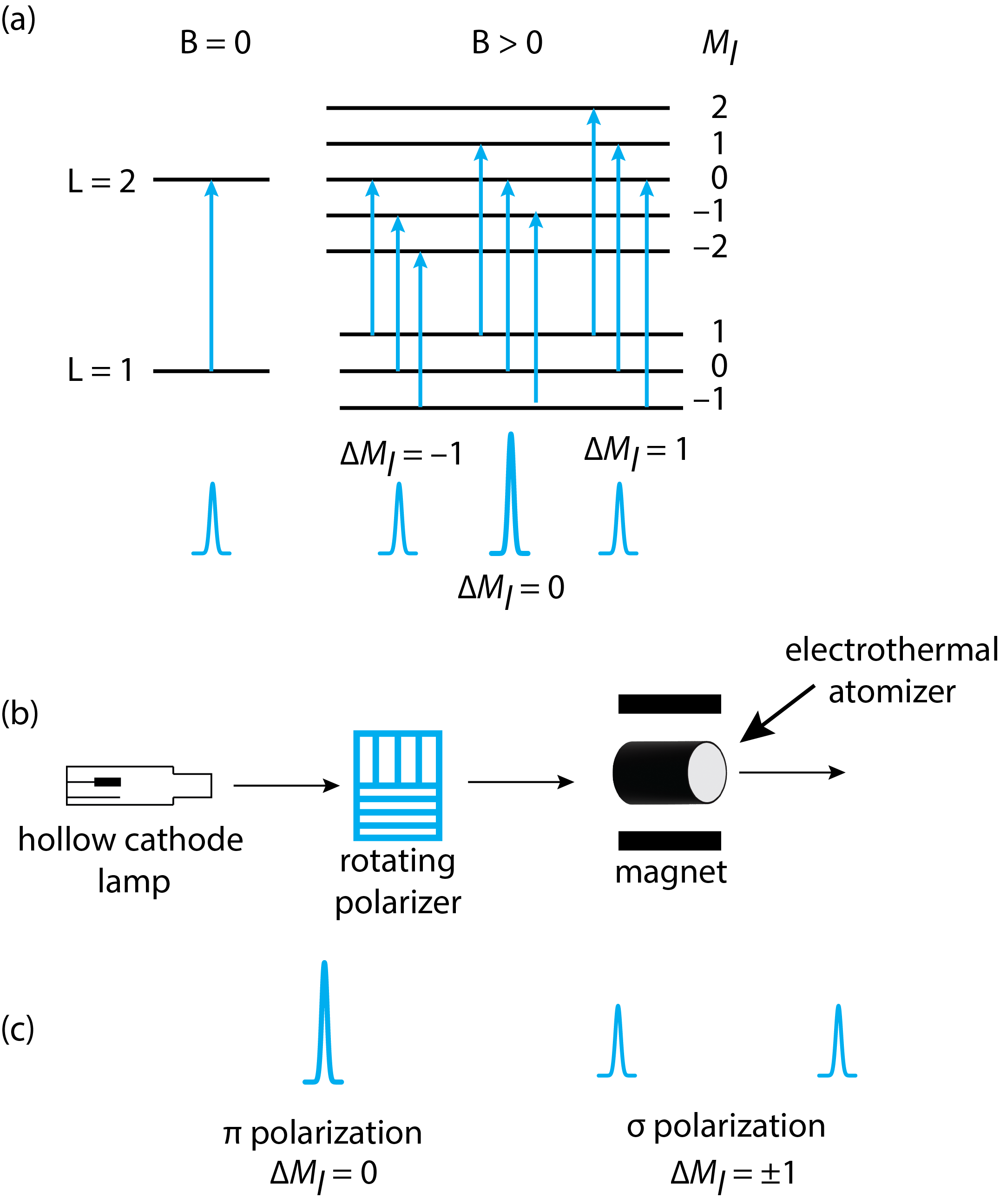 Ilustración del uso del efecto Zeeman para compensar la absorción de fondo al usar un atomizador electrotérmico.