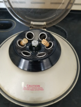 Enrutador de una máquina centrífuga de laboratorio común que muestra compartimentos de tubos de ensayo dispuestos en círculo alrededor del eje.