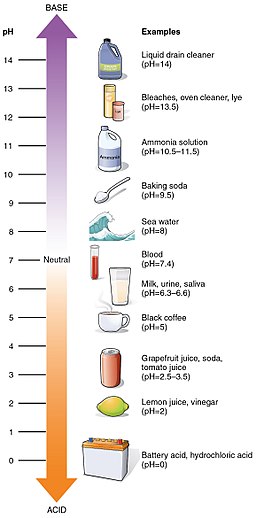 pH scale.jpg