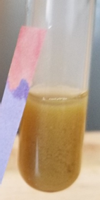 Precipitado de sulfuro de estaño (IV) de color amarillo confirmando iones estaño (IV).