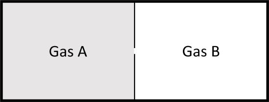 A chart with two boxes: the left box labeled Gas A is shaded light gray, and the right box labeled Gas B is white.