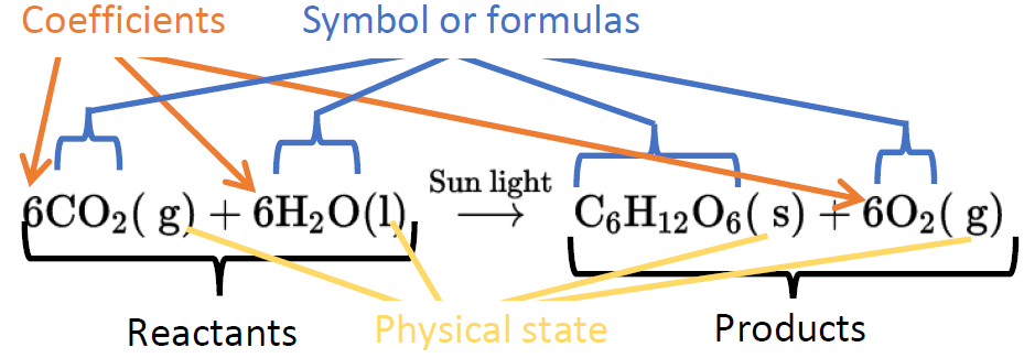 Componentes de una ecuación química ilustrada