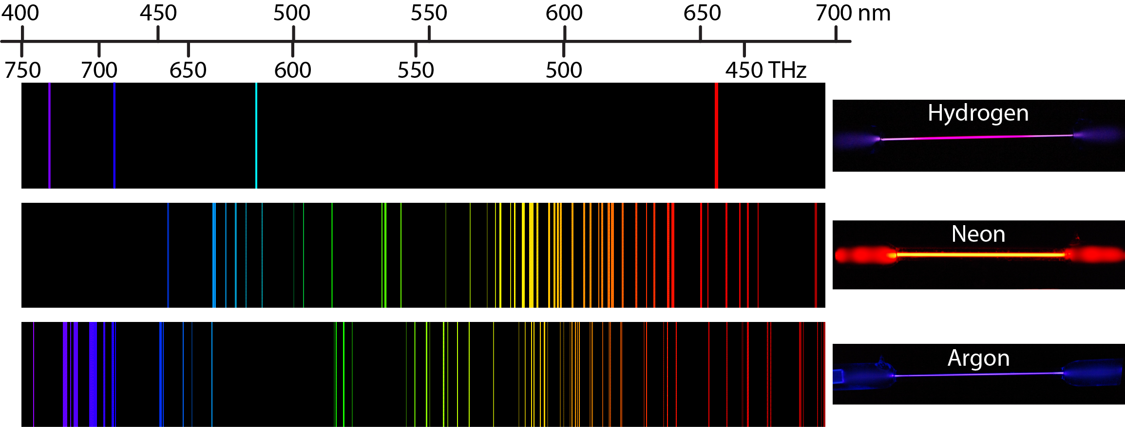 Se muestra una imagen con 3 filas. Al otro lado de la parte superior hay una escala que comienza a 400 nm a la izquierda y se extiende a 700 nm hacia la derecha. La fila superior muestra el espectro de emisión para hidrógeno. Este espectro muestra bandas individuales en las regiones violeta, índigo, azul y naranja. Hay una lámpara de descarga de hidrógeno a la derecha que muestra el color púrpura general. La segunda fila muestra el espectro de emisión para neón. Este espectro muestra muchas bandas en el espectro visible, de azul a rojo, con una mayor concentración de bandas en la región roja y naranja. Hay una lámpara de descarga de neón a la derecha que muestra el color naranja general. La tercera fila muestra el espectro de emisión para argón. Este espectro muestra muchas bandas en el espectro visible, desde el índigo hasta el rojo, con una mayor concentración de bandas en la región azul e índigo. Hay una lámpara de descarga de argón a la derecha que muestra el color violeta general. Es importante señalar que cada una de las bandas de color para los espectros de emisión de los elementos coincide con una longitud de onda específica de luz. Extender una línea vertical desde las bandas hasta la escala por encima o por debajo del diagrama coincidirá con la banda con una medida específica en la escala.