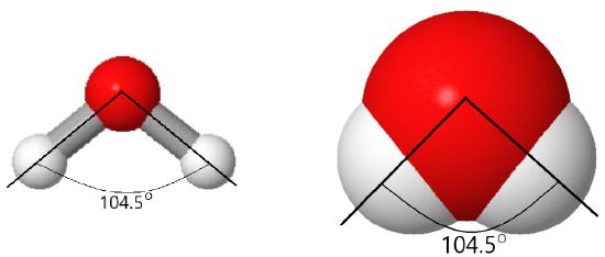 Water molecule showing the angle between the two hydrogen atoms to be 104.5 degrees.