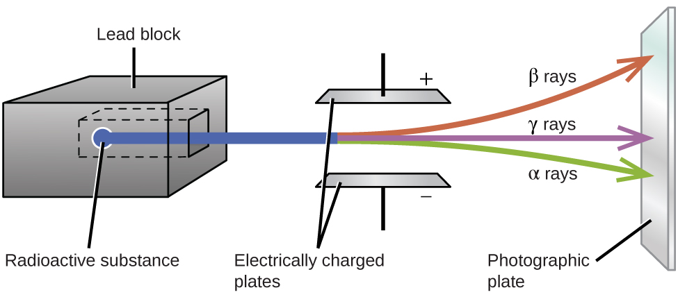 Diagram showing a radioactive substance within a lead box. The substance emits rays through a small opening in the box which then pass through electrically charged plates, positive above and negative below. Gamma rays continue in a straight line between the plates, alpha rays pass between the plates and begin to move slightly downward toward the negative plate, and the beta rays pass between the plates are are deflected much more upward toward the positive plate.