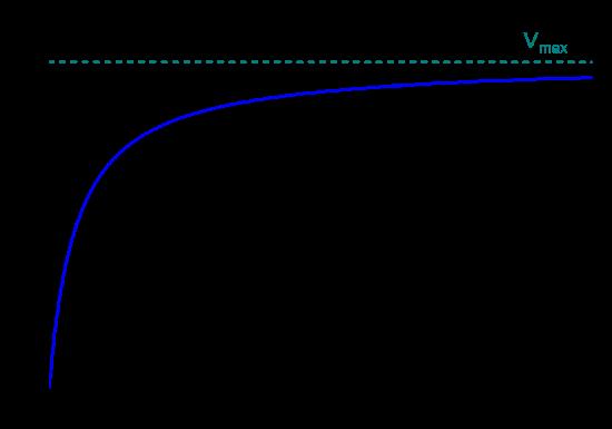 Graph of reaction rate as a function of [S]. At the start of the graph, [S] << Km and rate = Vmax divided by Km all multiplied by [S]. At the end of the graph, [S] >> Km and the rate =Vmax.