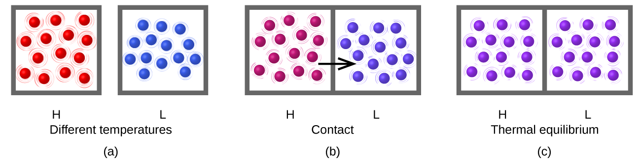 Se muestran tres dibujos y se etiquetan a, b y c, respectivamente. El primer dibujo etiquetado como representa dos cajas, con un espacio intermedio y el par está subtitulado “Diferentes temperaturas”. La caja de la izquierda está etiquetada con H y contiene catorce esferas rojas bien espaciadas con líneas dibujadas alrededor de ellas para indicar un movimiento rápido. La caja de la derecha está etiquetada con L y representa catorce esferas azules que están más juntas que las rojas y tienen líneas más pequeñas alrededor de ellas mostrando menos movimiento de partículas. El segundo dibujo etiquetado como b representa dos cajas que se tocan entre sí. La caja izquierda está etiquetada con H y contiene catorce esferas granate que están espaciadas uniformemente. Hay pequeñas líneas alrededor de cada esfera que representan el movimiento de las partículas. La caja derecha está etiquetada como L y contiene catorce esferas moradas que están ligeramente más juntas que las esferas granate. También hay pequeñas líneas alrededor de cada esfera que representan el movimiento de las partículas. Una flecha negra apunta desde el cuadro izquierdo hasta el cuadro derecho y el par de diagramas se subtitula “Contacto”. El tercer dibujo etiquetado con c, se etiqueta como “Equilibrio térmico”. Se muestran dos cajas en contacto entre sí. Ambas cajas contienen catorce esferas moradas con pequeñas líneas alrededor de ellas que representan un movimiento moderado. La caja izquierda está etiquetada con H y la caja derecha está etiquetada con L.